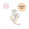 Puff And Pop Balloon Bouquets Newborn Dinosaur Bouquet