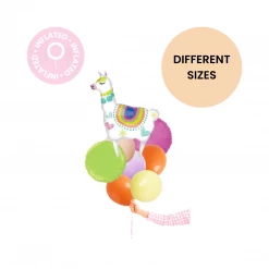 Puff And Pop Bright Llama Bouquet