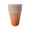 Puffnpop Ice Cream Orange Ombre Cups (8pcs)
